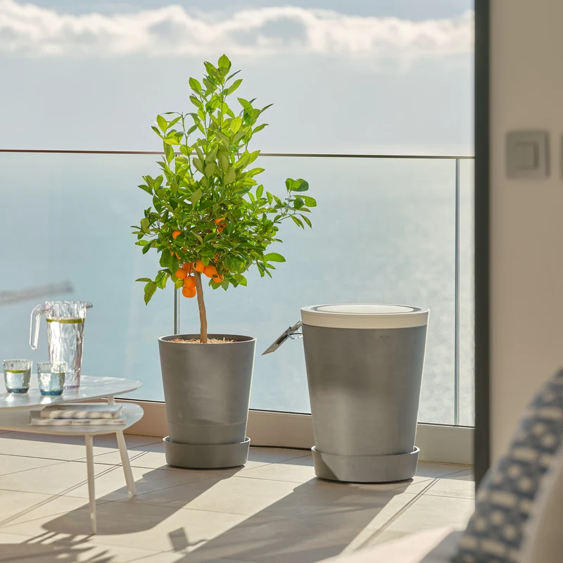 Boum Pro Starter Set - Blumentopf mit automatischer Bewässerung