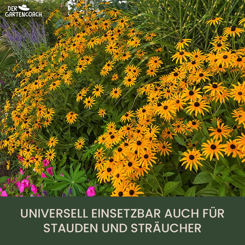 Gartencoach Rosendünger 5 kg – Nährstoffe für gesunde Rosen & langanhaltende Blüte