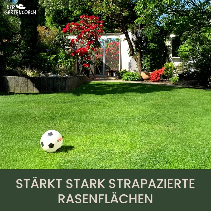 Gartencoach Rasendünger 5 kg – Für dichten & gesunden Rasen