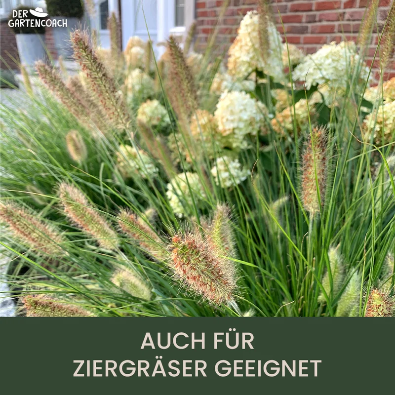 Gartencoach Rasendünger 5 kg – Für dichten & gesunden Rasen