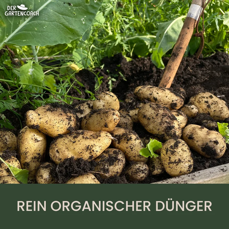 Gartencoach Gemüsedünger 5 kg – Für kräftiges Wachstum & gesunde Ernte