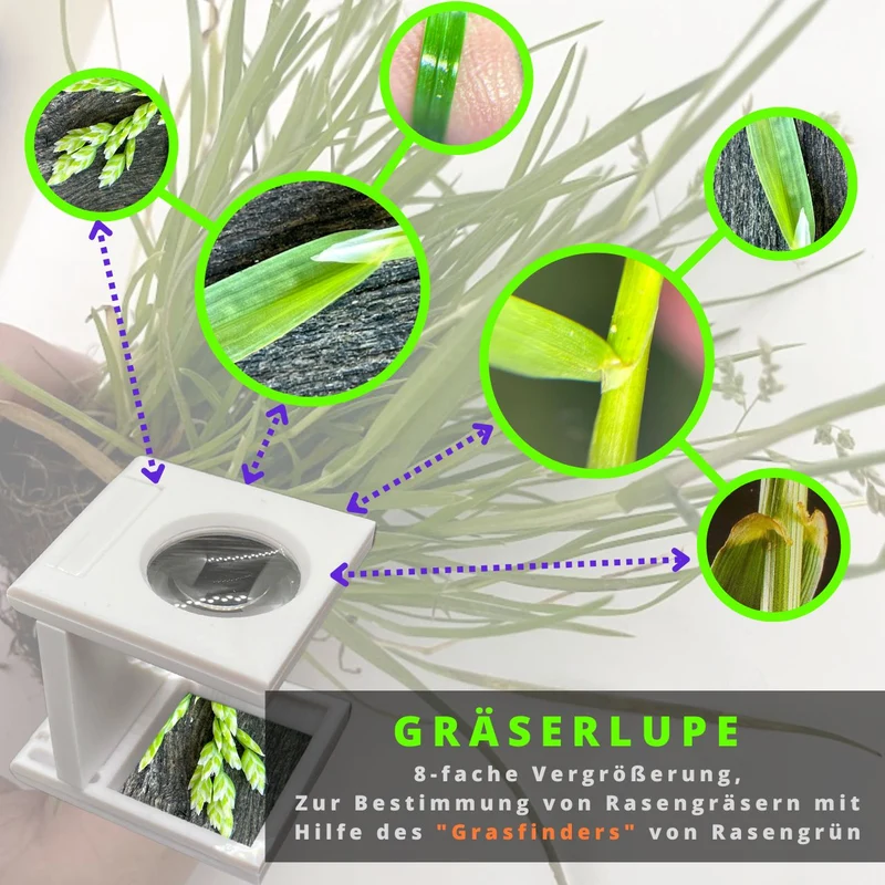 Gräserlupe - Zur Bestimmung von Gräsern, Ungräsern und Rasenkrankheiten in Rasenflächen