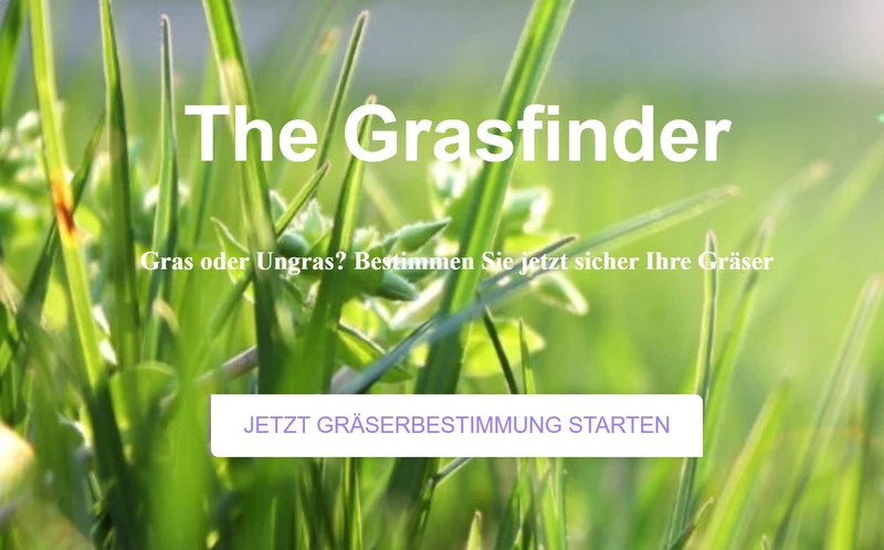Gräserlupe - Zur Bestimmung von Gräsern, Ungräsern und Rasenkrankheiten in Rasenflächen