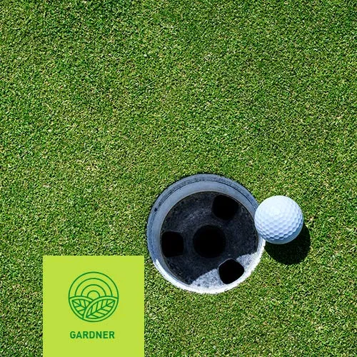Quarzsand - Rasensand für Golfplatz im praktischen Bigbag 5000kg inkl. Versand (5000)