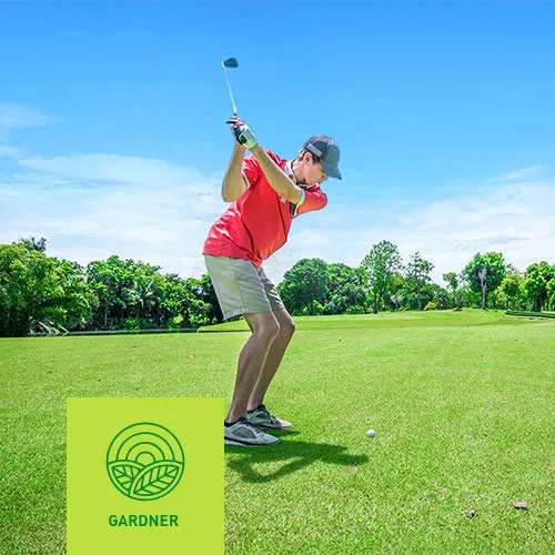 Quarzsand - Rasensand für Golfplatz im praktischen Bigbag 5000kg inkl. Versand (5000)