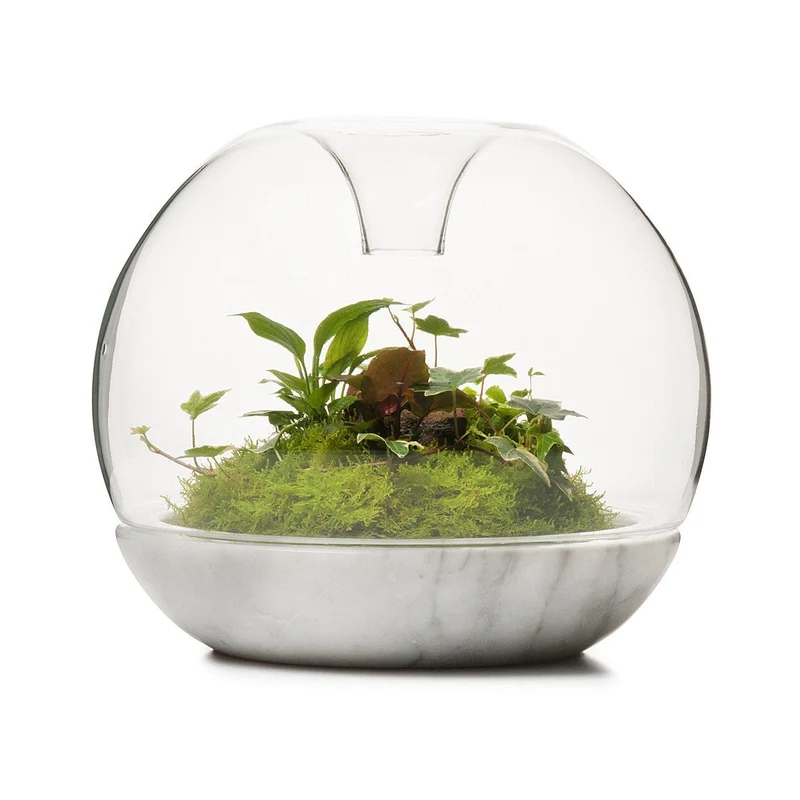 Marble Biodome Rainforest Terrarium
