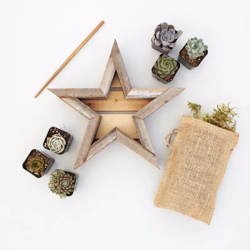 Succulent Star Redwood Kit