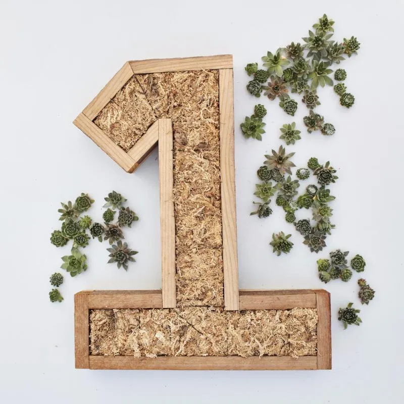 Large Number Redwood Kit