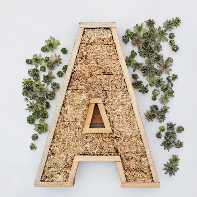 Large Letter Redwood Kit