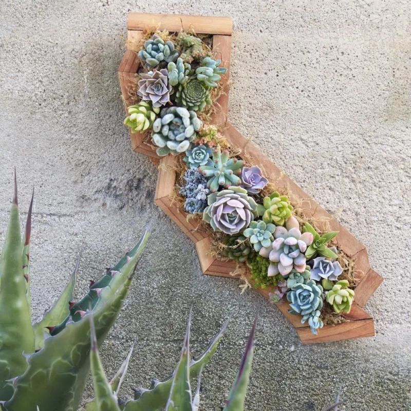 California Redwood Kit