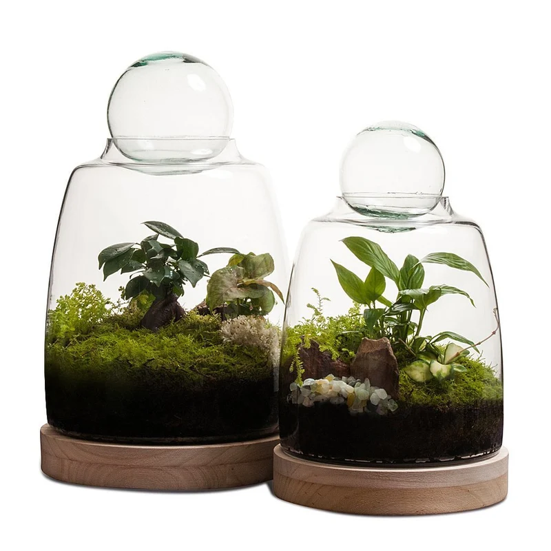 Soho Terrarium