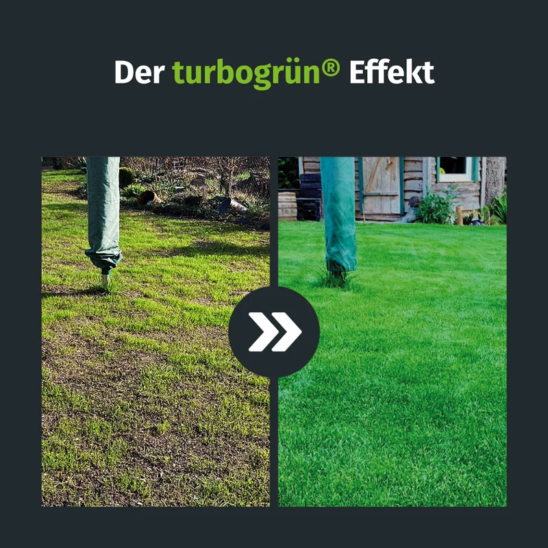 Herbst Rasenset + GRATIS Unkrautvernichter (125 m²)