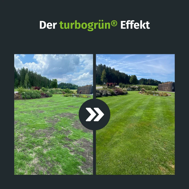 Lückenschließer Rasenset (100 m²)