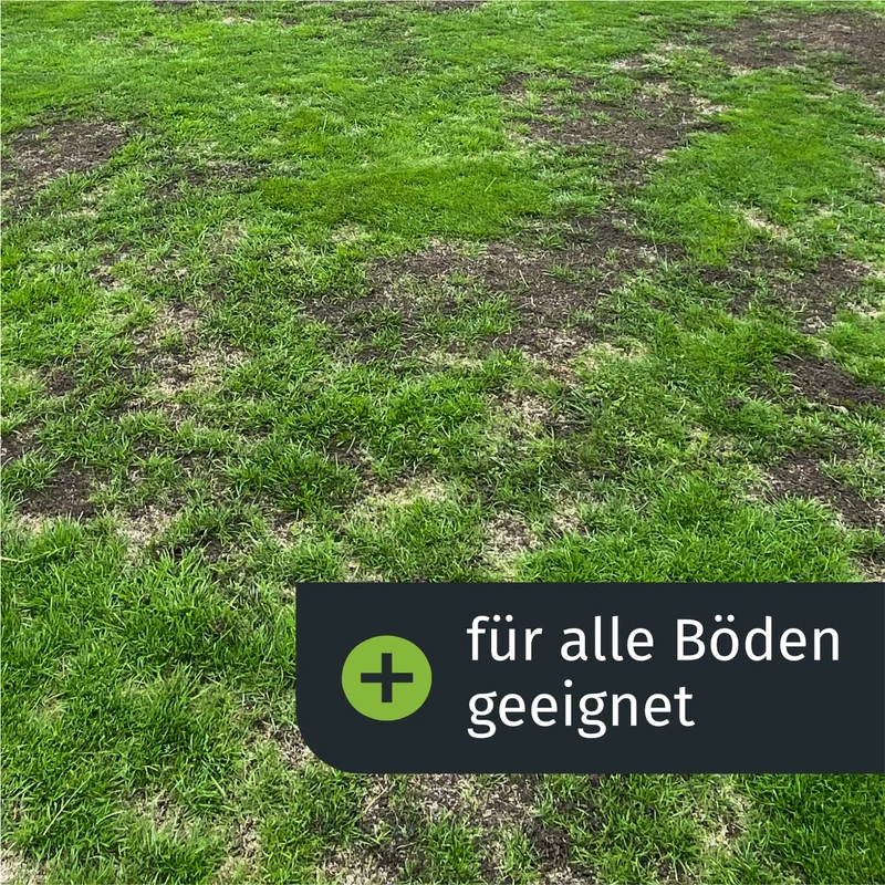 Lückenschließer Rasenset (250 m²)