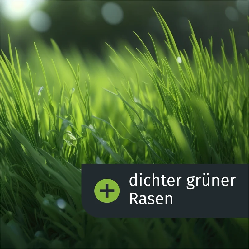Lückenschließer Rasenset (50 m²)