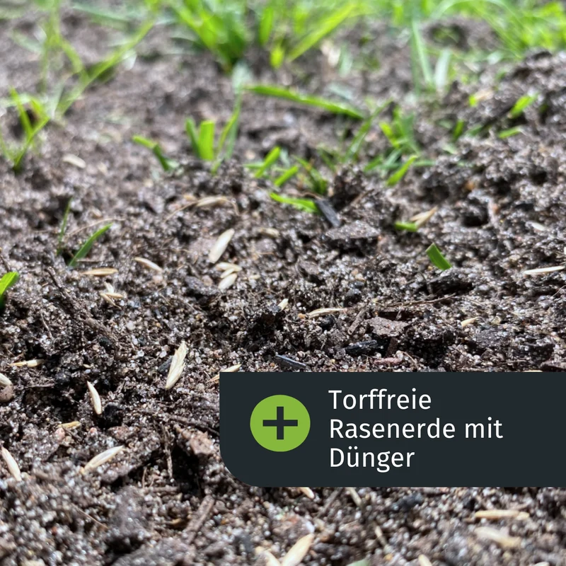 Lückenschließer Rasenset (50 m²)