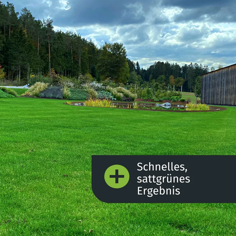 Herbst Rasenset + GRATIS Unkrautvernichter (125 m²)