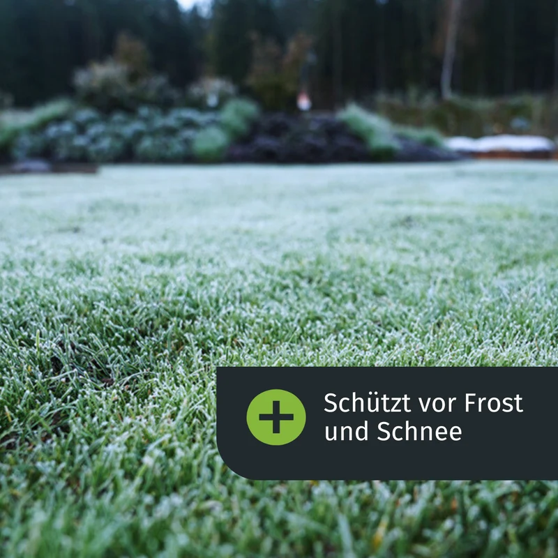 Herbst-Set mit Streuer (500 m²)