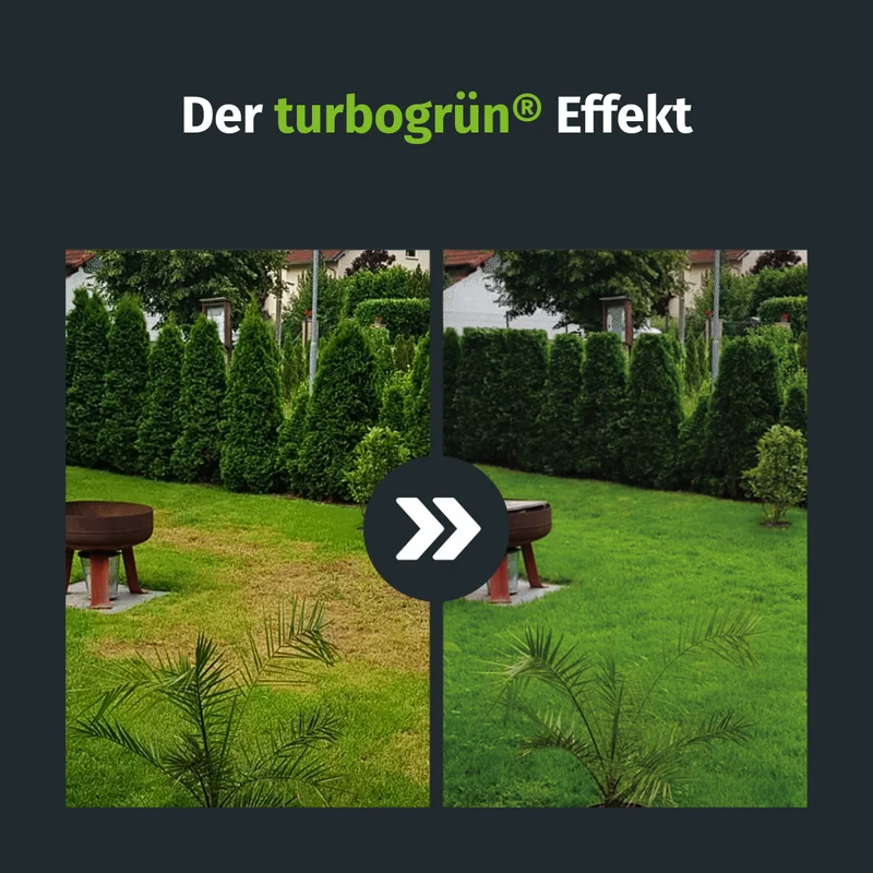 Vertikutier Set (600 m²)
