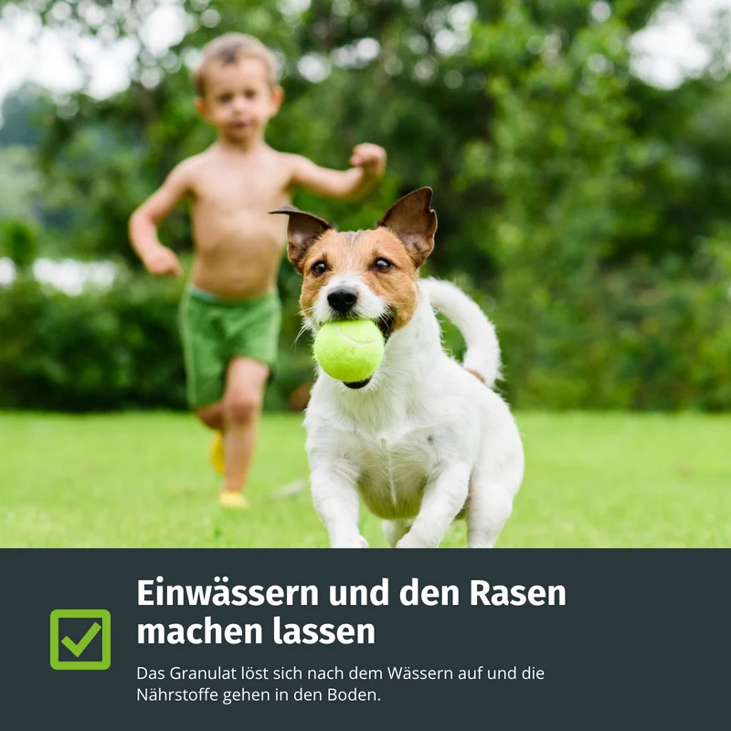 Rasendünger Jahrespaket Plus (1000 m²)