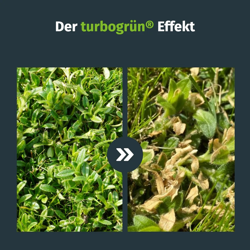 Unkrautvernichter mit Spritze (500 m²)