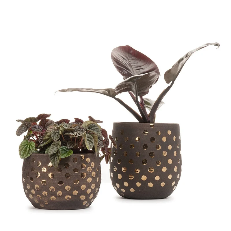 Gold Spots Planter