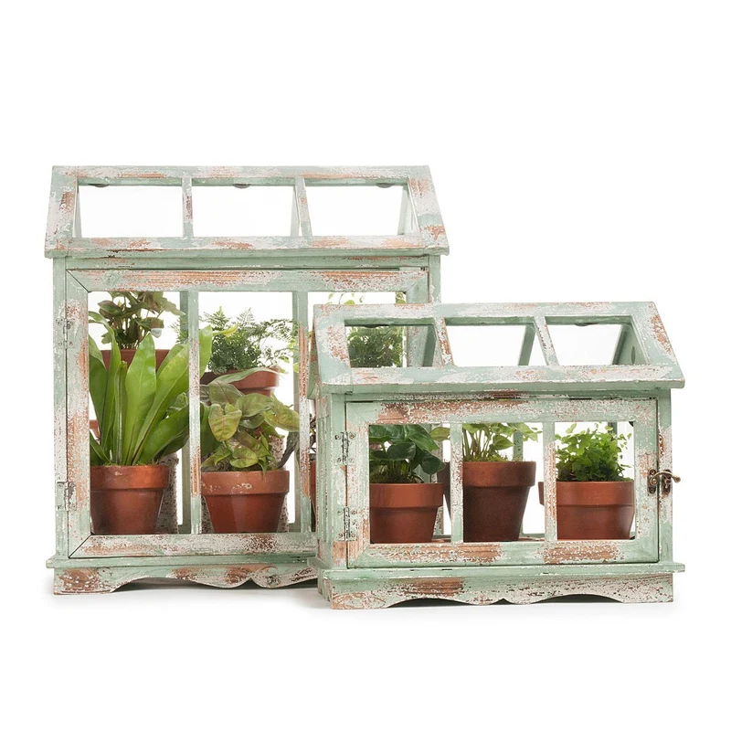 Vintage Fern Greenhouse