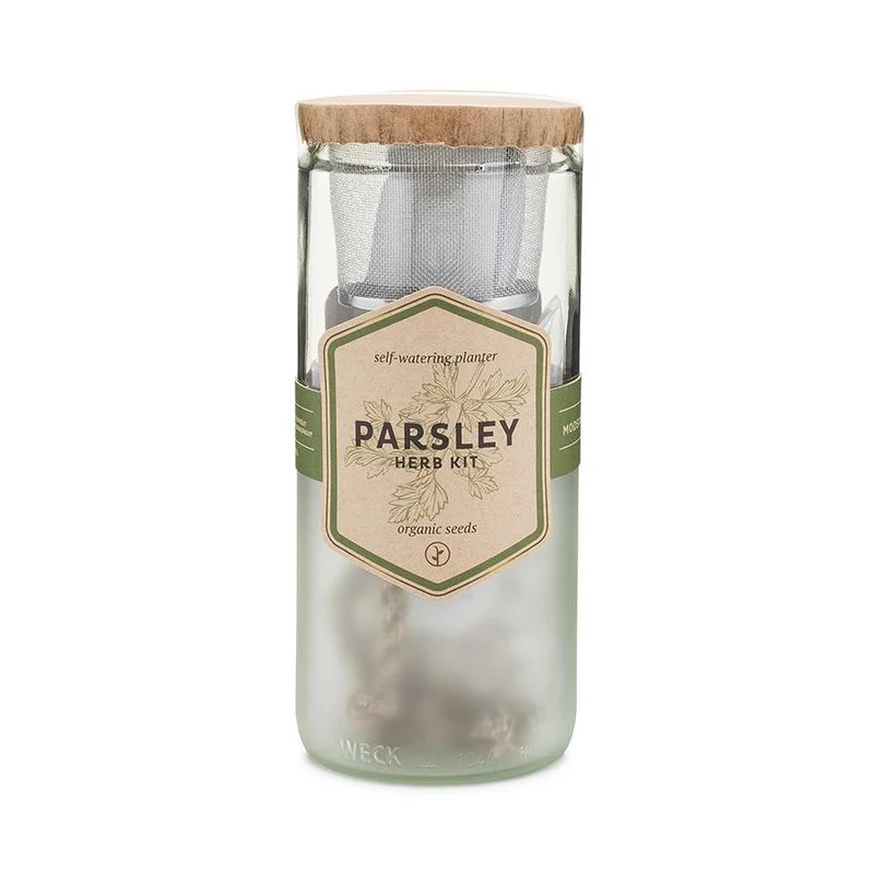 Parsley Eco Planter