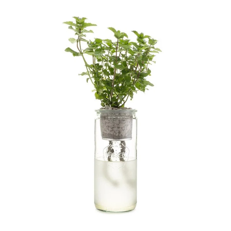 Mint Eco Planter Kit