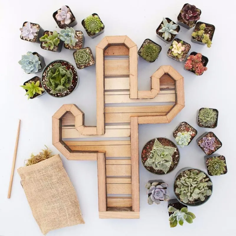 Cactus Redwood Kit