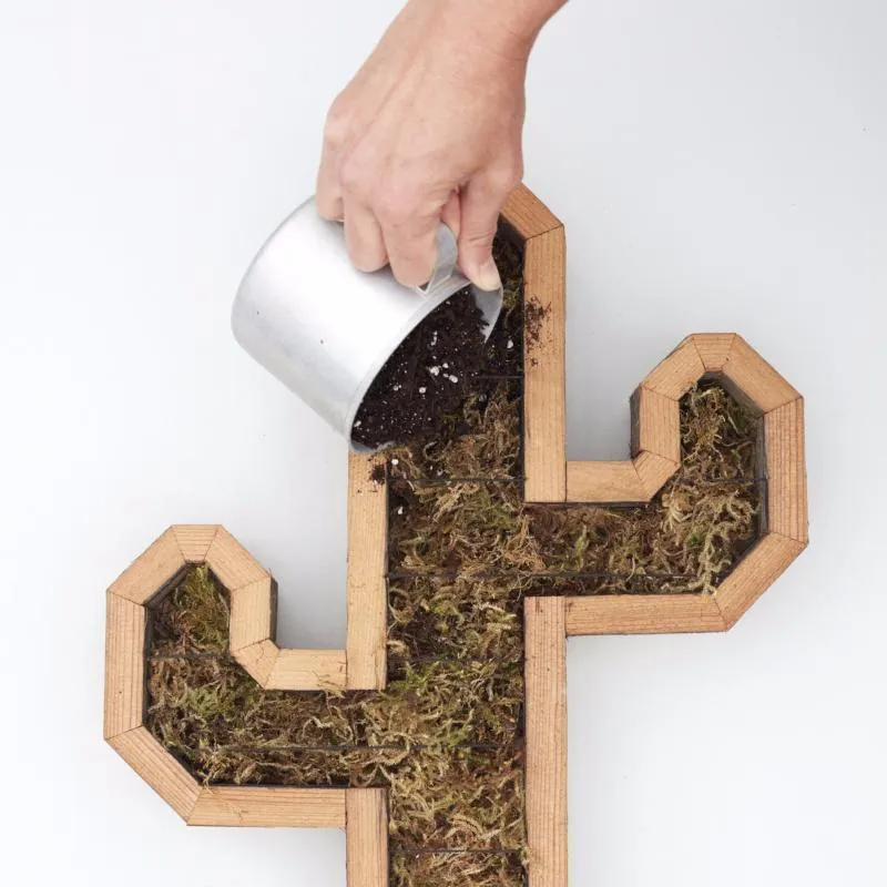 Cactus Redwood Kit