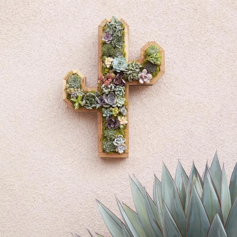 Cactus Redwood Kit