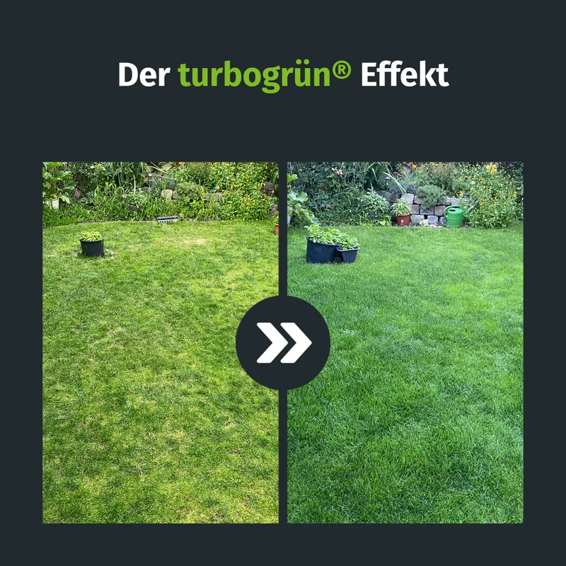 Premium Dünger-Abo