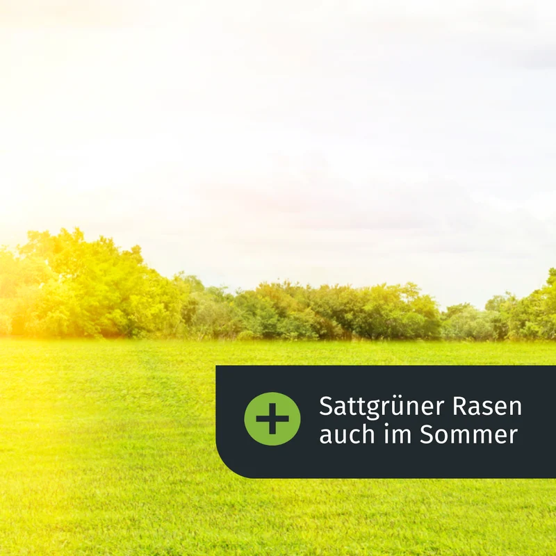 Sommer Rasenset + GRATIS Unkrautvernichter (1000 m²)