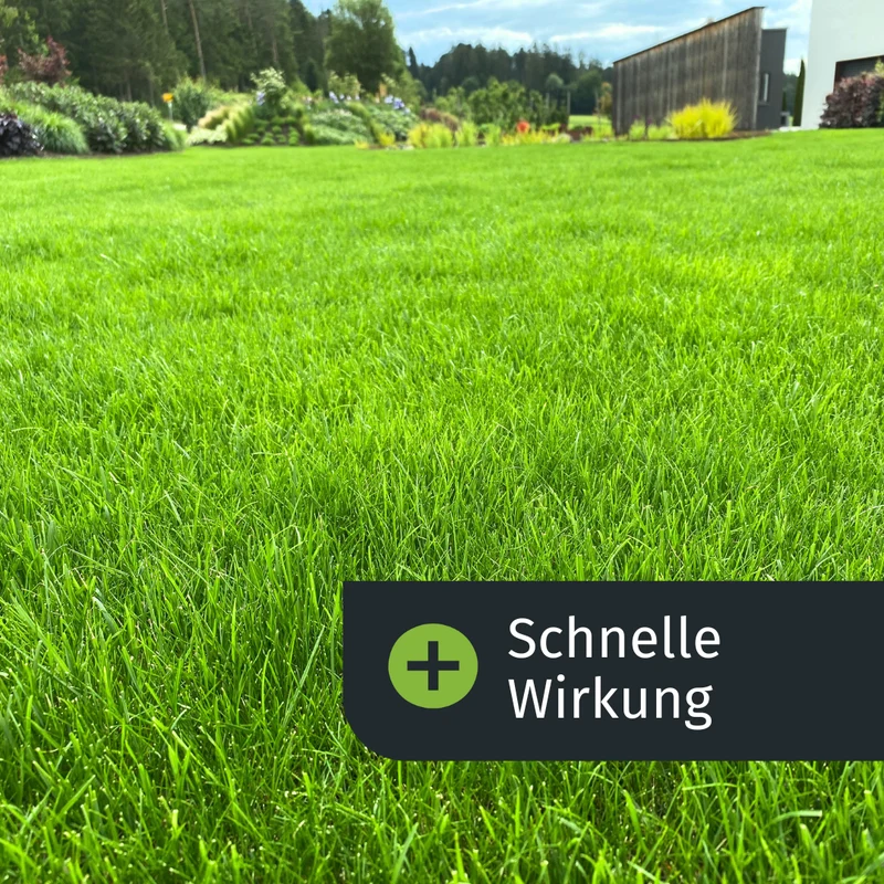 Sommer-Rasenset (1000 m²)