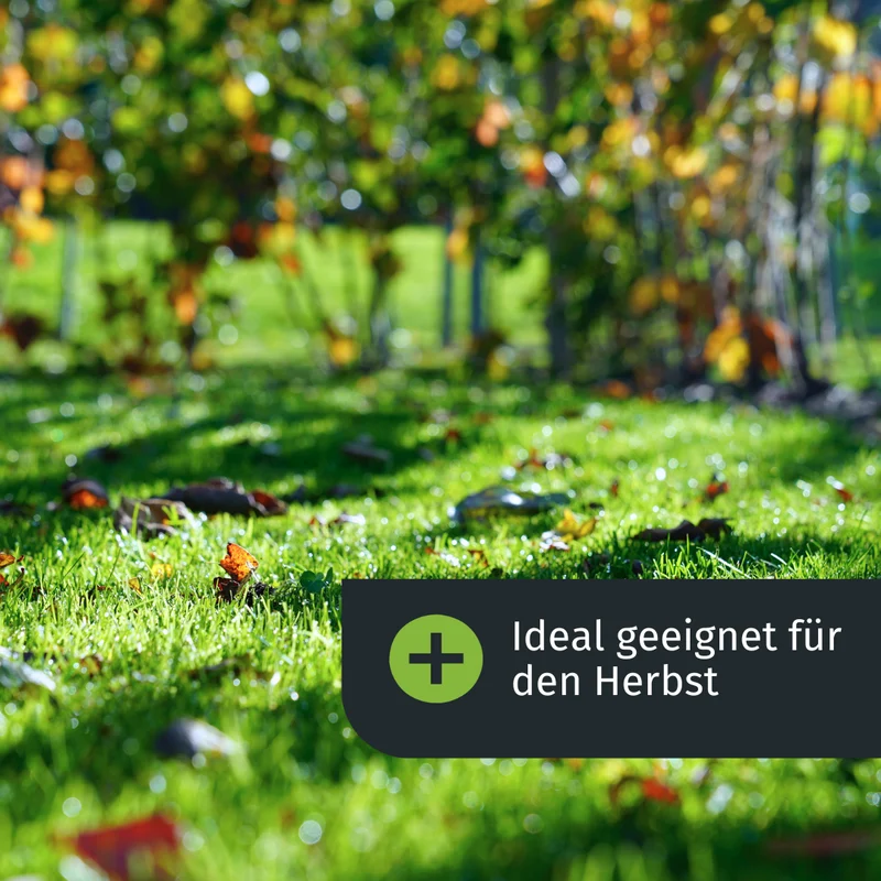Herbst Rasenset (1000 m²)