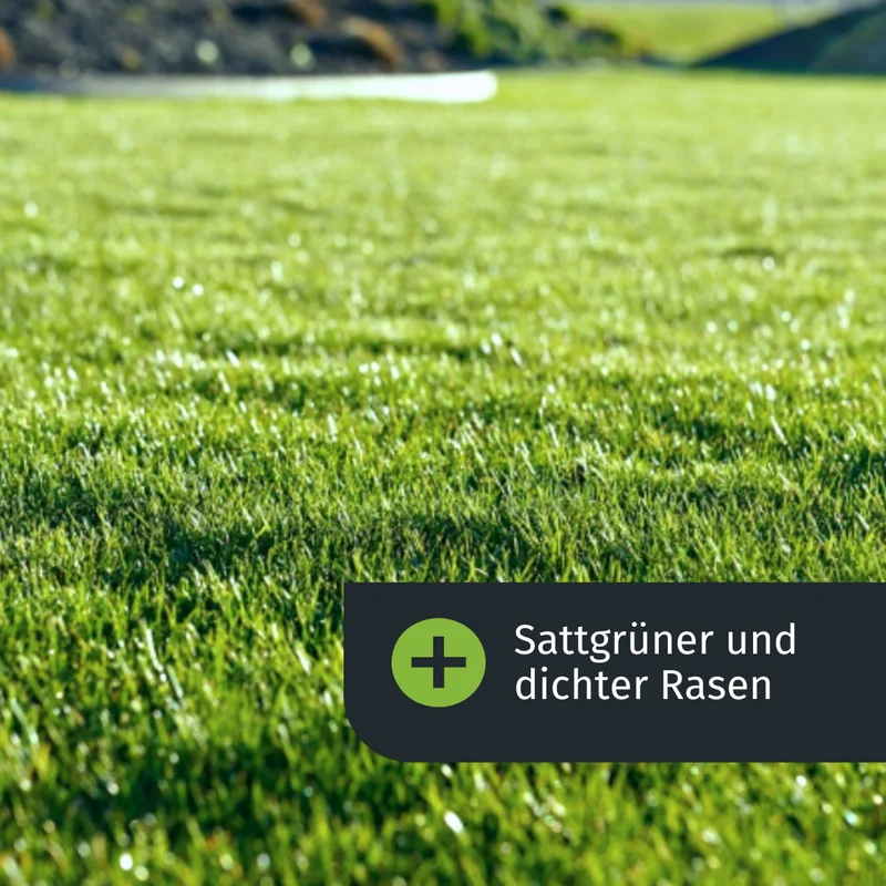 Herbst Rasenset (500 m²)