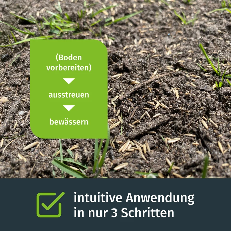 Schattenrasen