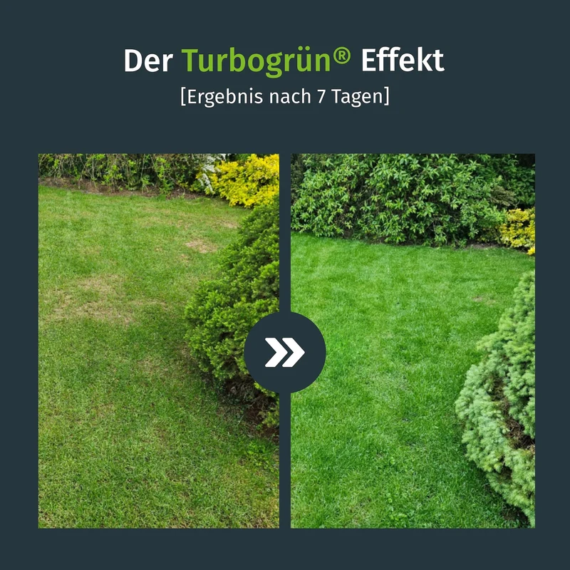 Rasenkalk