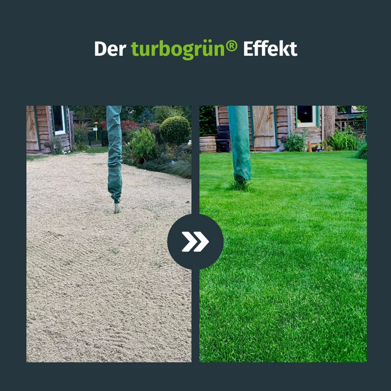 Premium Rasensand