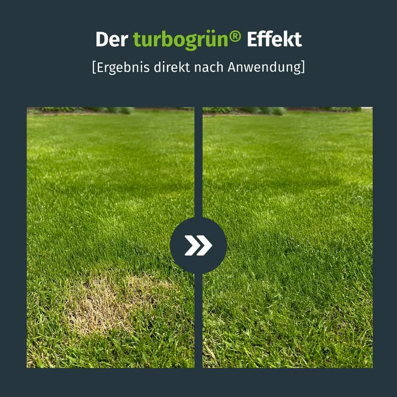Rasenfarbe