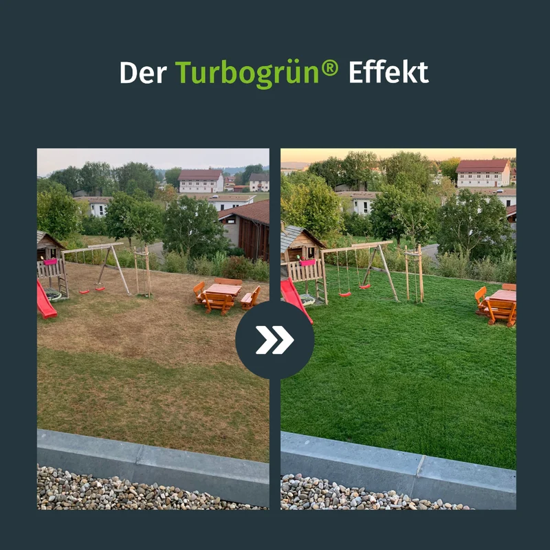 Trockenrasen