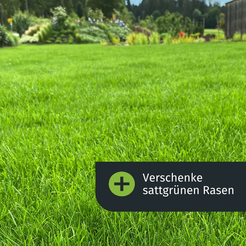 E-Gutschein