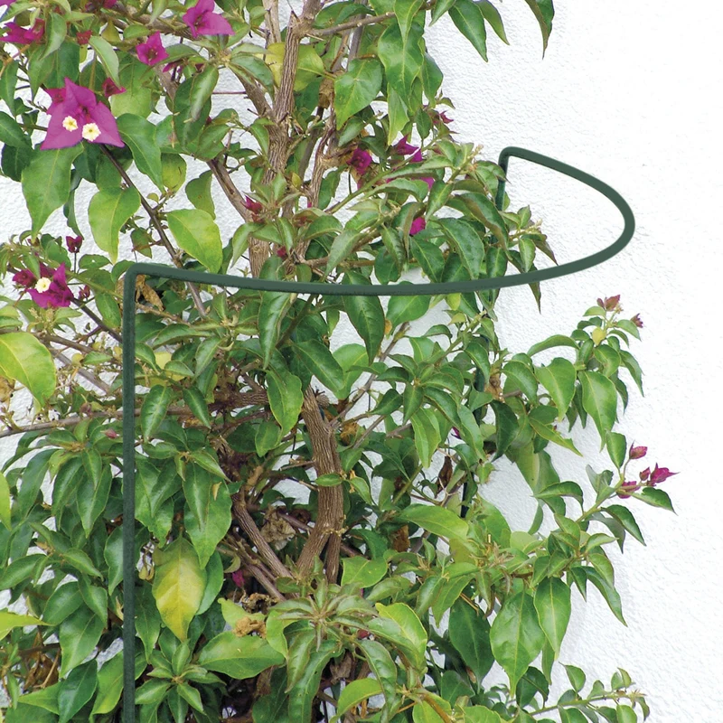 GartenAZ Busch- und Strauchstütze (LxBxH) 14 cm x 40 cm x 100 cm