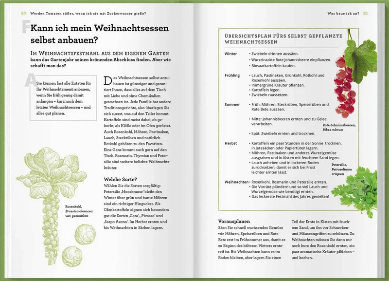 Wie verdienen Würmer ihren Lebensunterhalt?