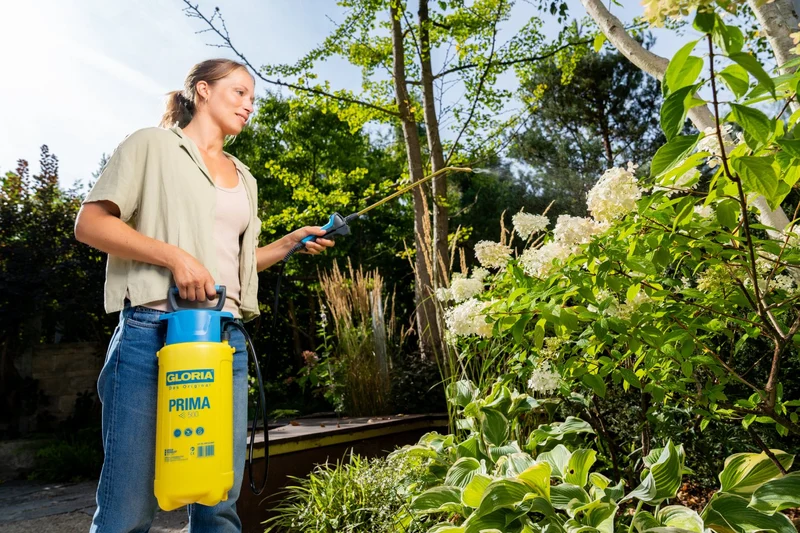 Prima 500 Drucksprüher 5 Liter, 3 bar Gartenspritze mit Messinglanze Pflanzenpflege & Pflanzenschutz