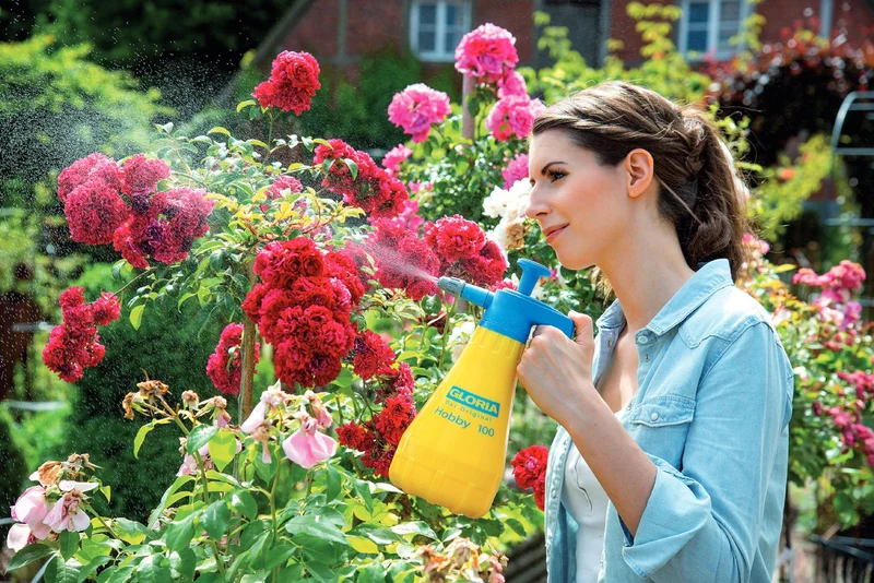 Drucksprühgerät Hobby 100 - 1,0 L Handsprüher mit verstellbarer Düse
