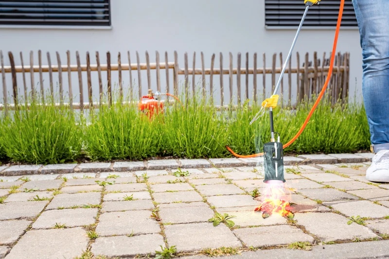 Druckminderer für Thermoflamm Professional und E+ Turbo