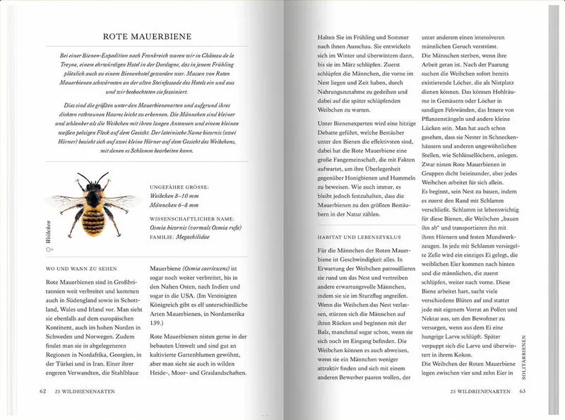 Unsere Wildbienen