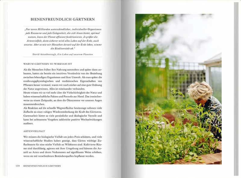 Unsere Wildbienen